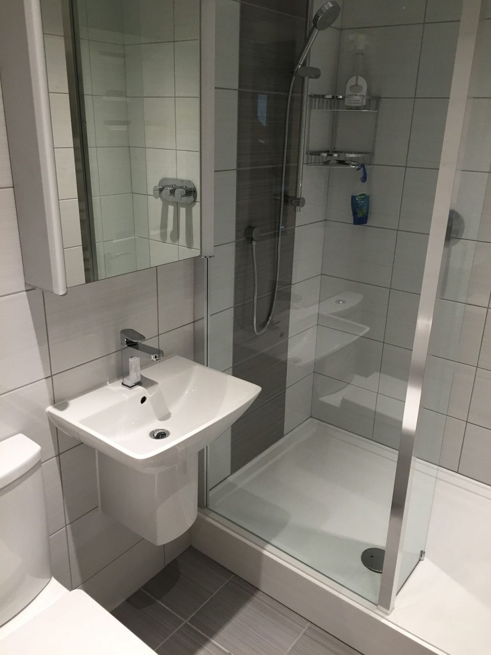 Shower & sink unit